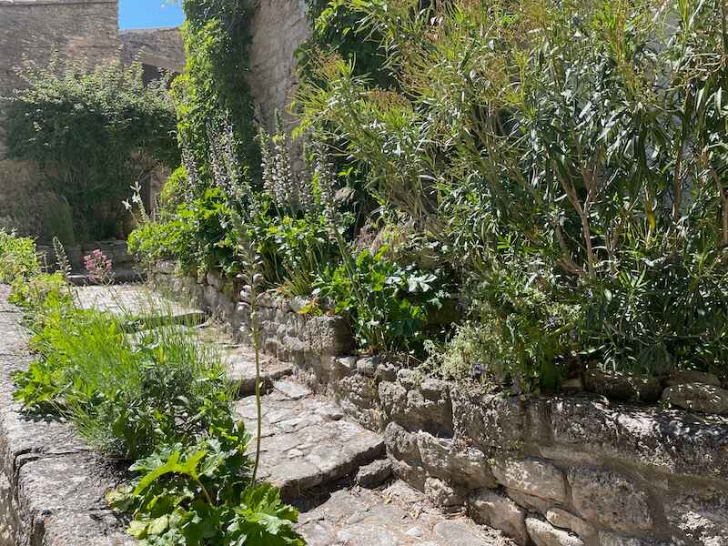 Cobblestoned alley in Bonnieux, bordered by flowers and plants