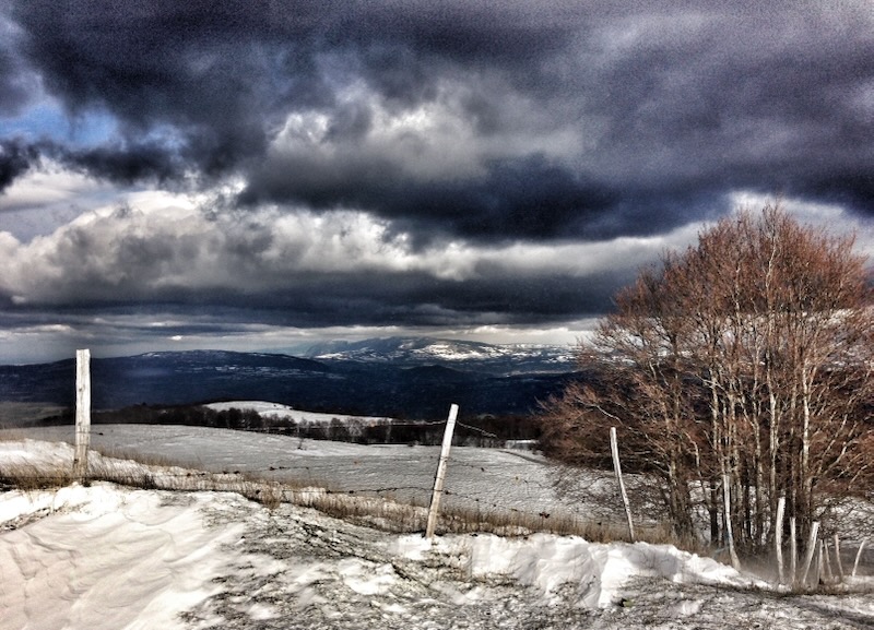 early december snow