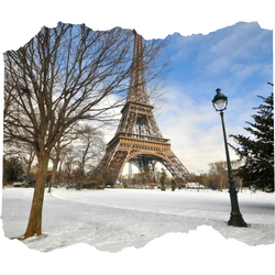 Paris in winter thumbnail