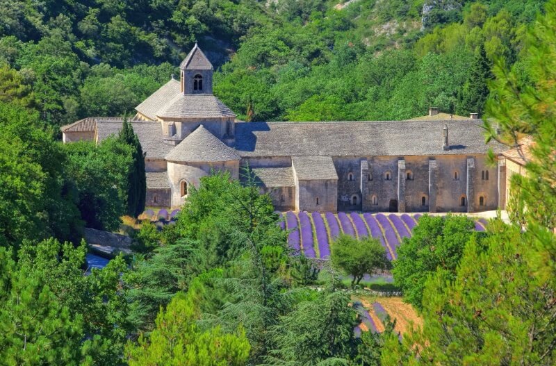 Lavender fields at Senanque Abbey in France